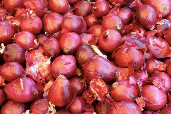 Последняя сылка hidra onion